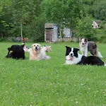 Bed & Breakfast Goute La Vie