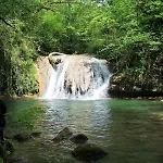 Goute La Vie
