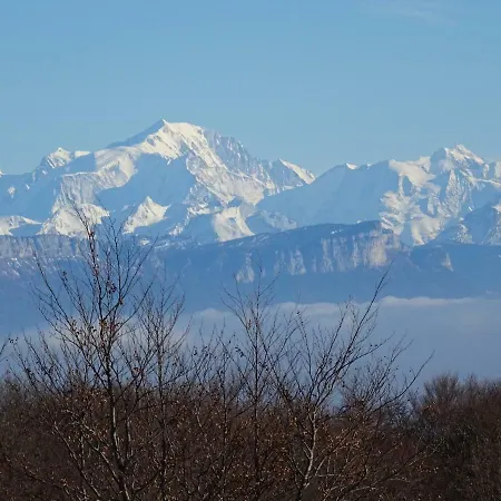 Goute La Vie